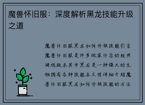 魔兽怀旧服：深度解析黑龙技能升级之道